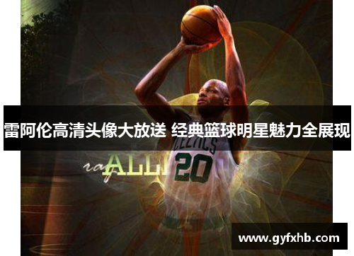 雷阿伦高清头像大放送 经典篮球明星魅力全展现